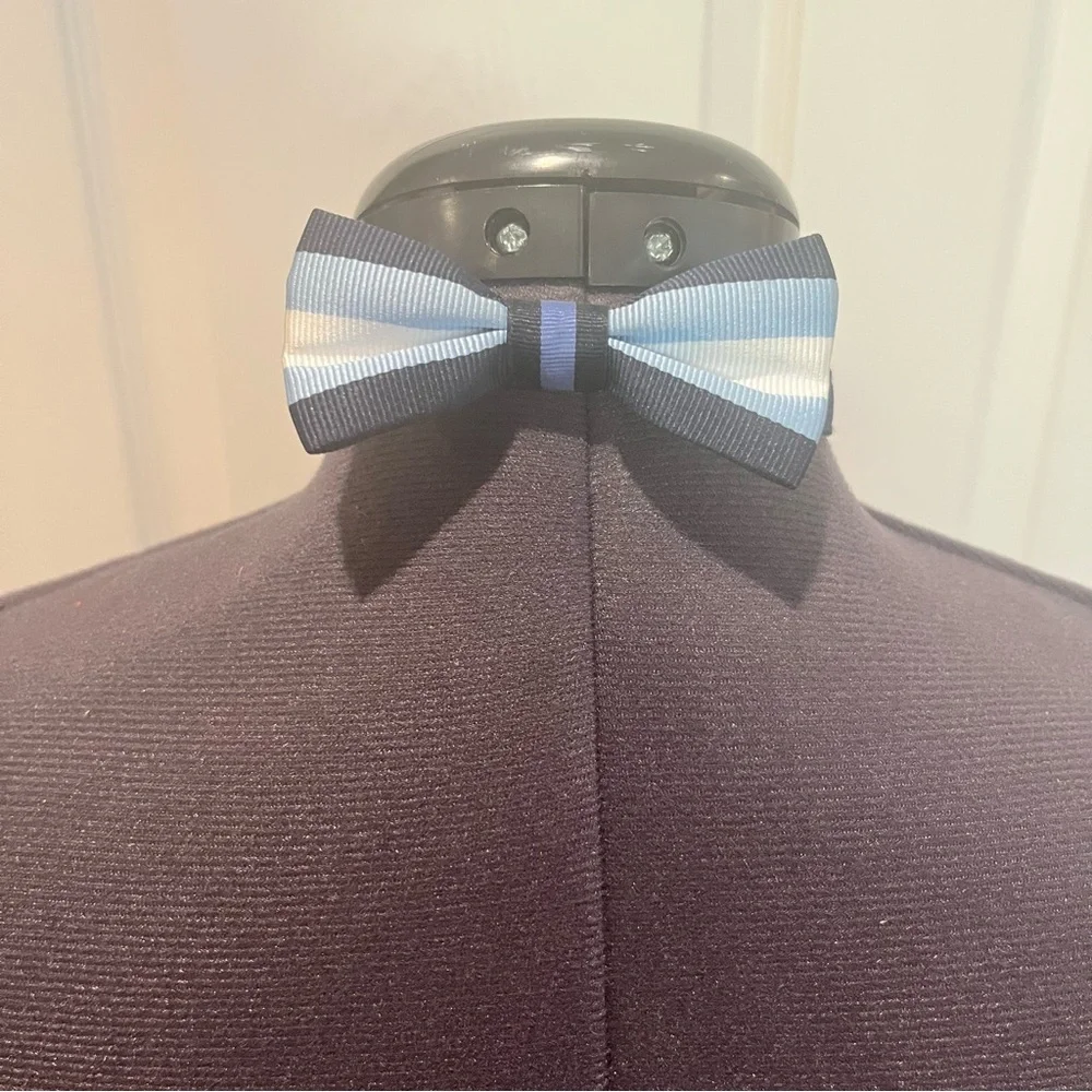 Janie and Jack Children’s Blue Striped Bow Tie